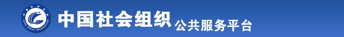 午夜大鸡巴操全国社会组织信息查询